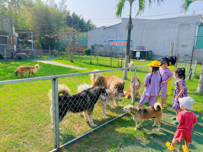Trung tâm huấn luyện chó Sài Gòn Dog