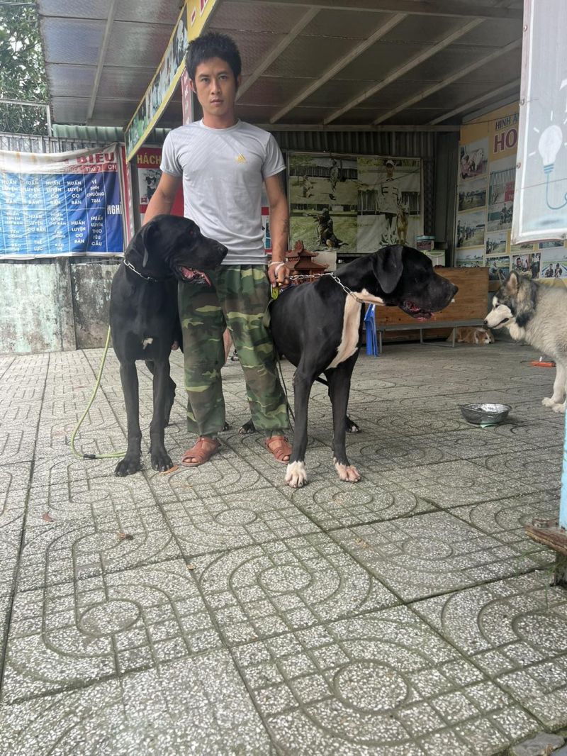 Trung tâm huấn luyện chó Thiên Khuyến