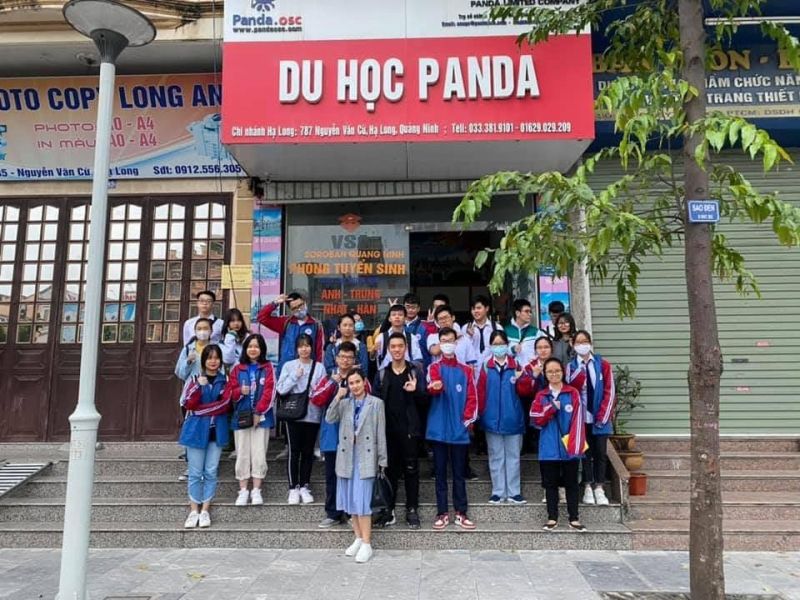 Trung tâm ngoại ngữ Panda Hạ Long
