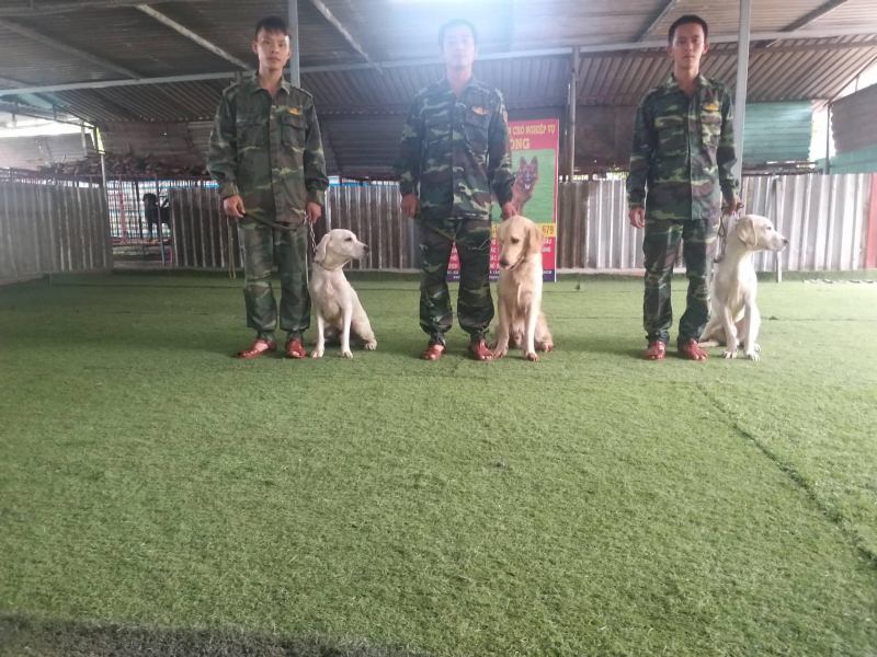 Trường huấn luyện chó nghiệp vụ biên phòng Sài Gòn