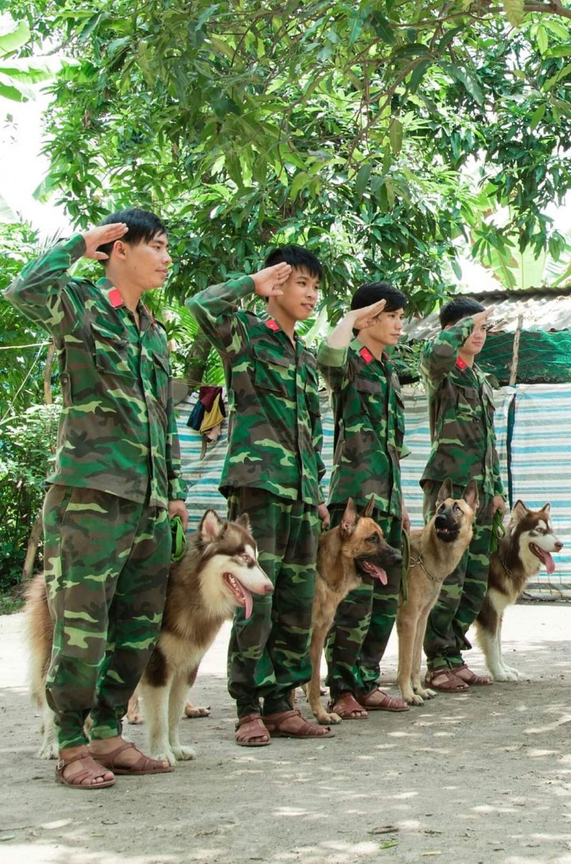 Trường huấn luyện chó Xuyên Á