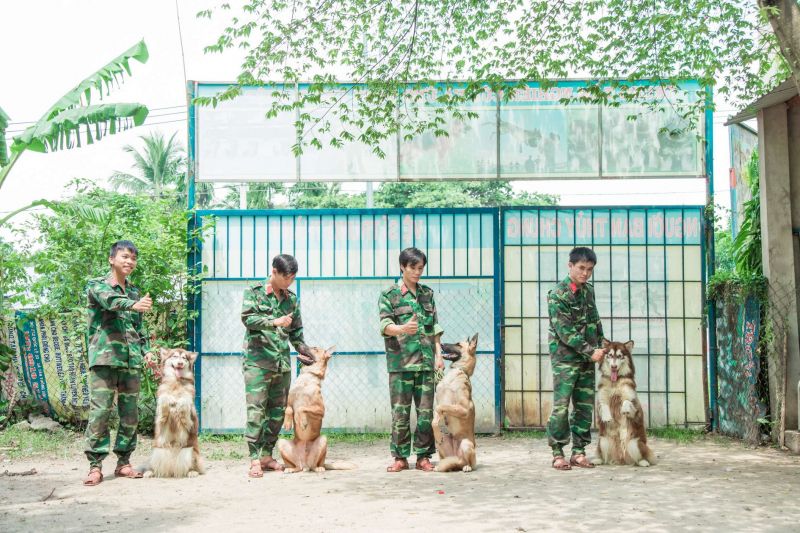 Trường huấn luyện chó Xuyên Á
