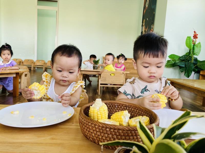Trường Mầm Non Monkids