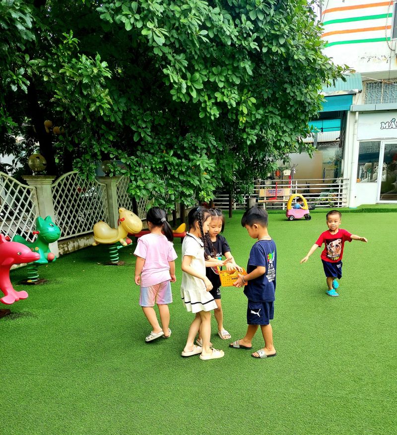 Trường Mầm non Tiny Bear - Việt Trì