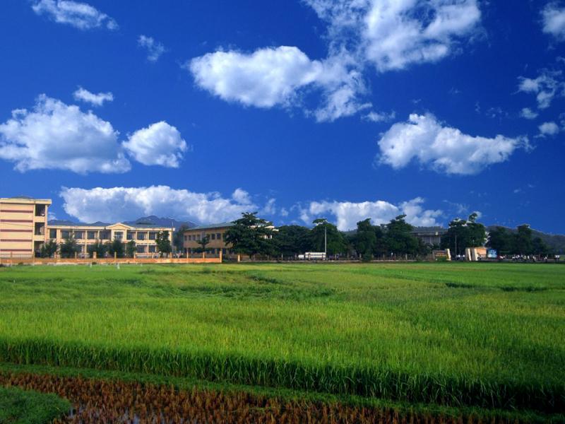 Trường THPT Trần Kỳ Phong