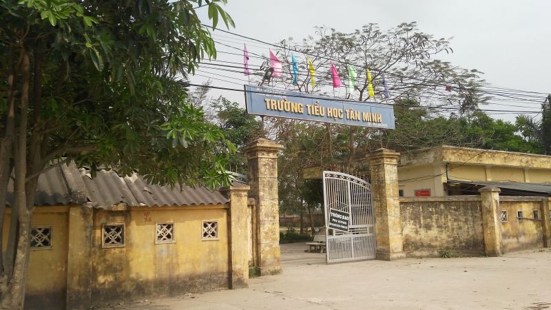 Trường Tiểu học Tân Minh