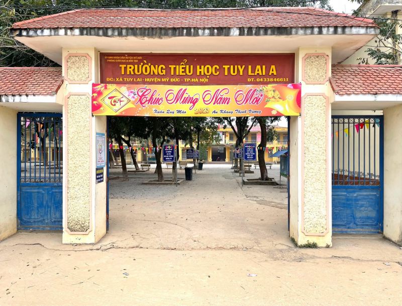 Trường Tiểu học Tuy Lai A