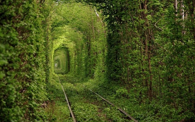 Tunnel of Love - Kleven, Ukraine