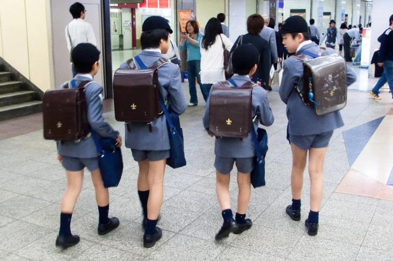 Tỷ lệ trẻ em nhập học ở Nhật Bản trong chương trình giáo dục bắt buộc đạt gần 100%
