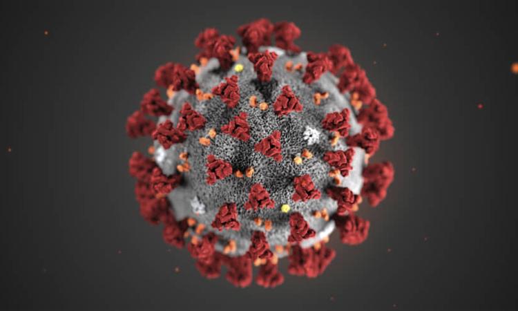 Y học thế giới chưa phát minh ra bất kỳ loại thuốc hoặc vaccine nào có thể giúp bạn điều trị và phòng ngừa Virus Corona (Ảnh minh họa)