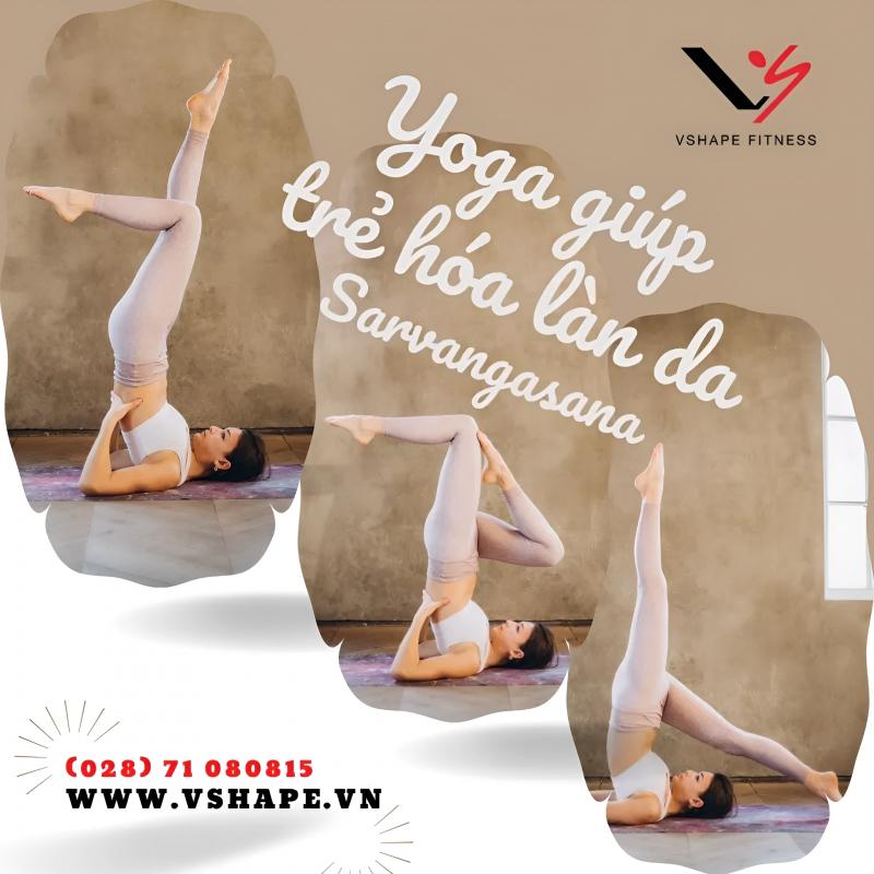 VShape Fitness & Yoga Center