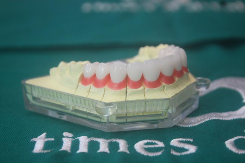 Viện Nha Khoa Quốc Tế Times Dental - 105 Đào Tấn