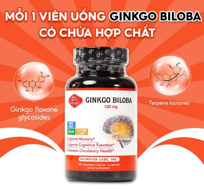 Viên uống bổ não Olympian Labs Ginkgo Biloba 120 mg