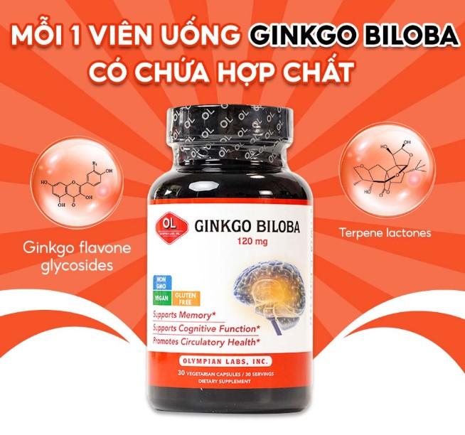 Viên uống bổ não Olympian Labs Ginkgo Biloba 120 mg tăng trí nhớ hiệu quả 30 viên