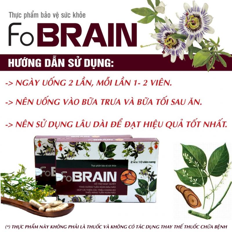 Viên uống Fobrain giảm rối loạn tiền đình, tăng cường tuần hoàn máu não