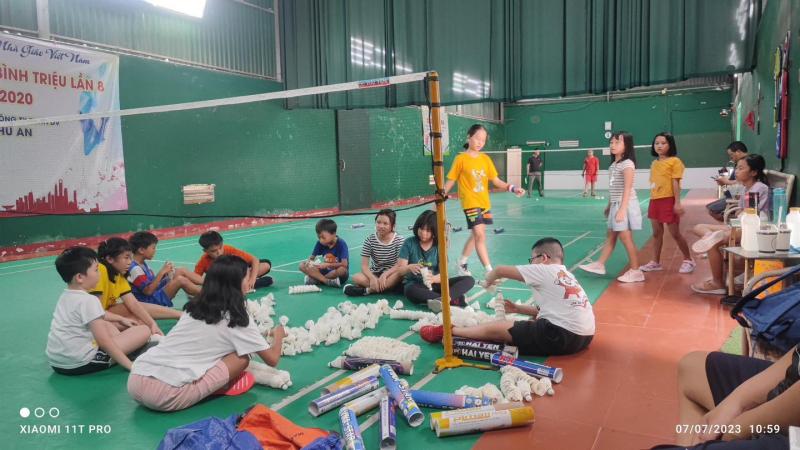 Việt Badminton