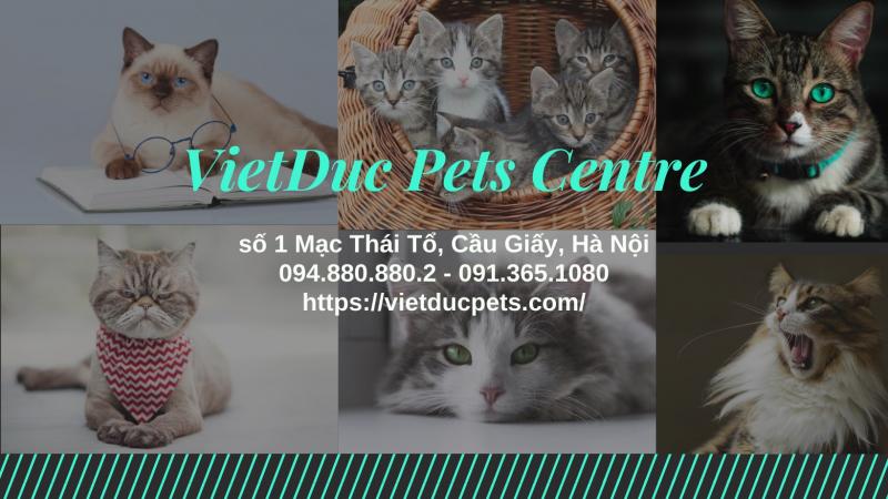 VietDuc Pets Centre
