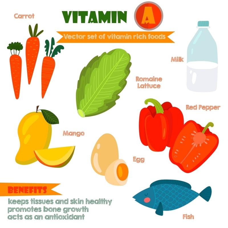 Nhóm thực phẩm chứa nhiều Vitamin A
