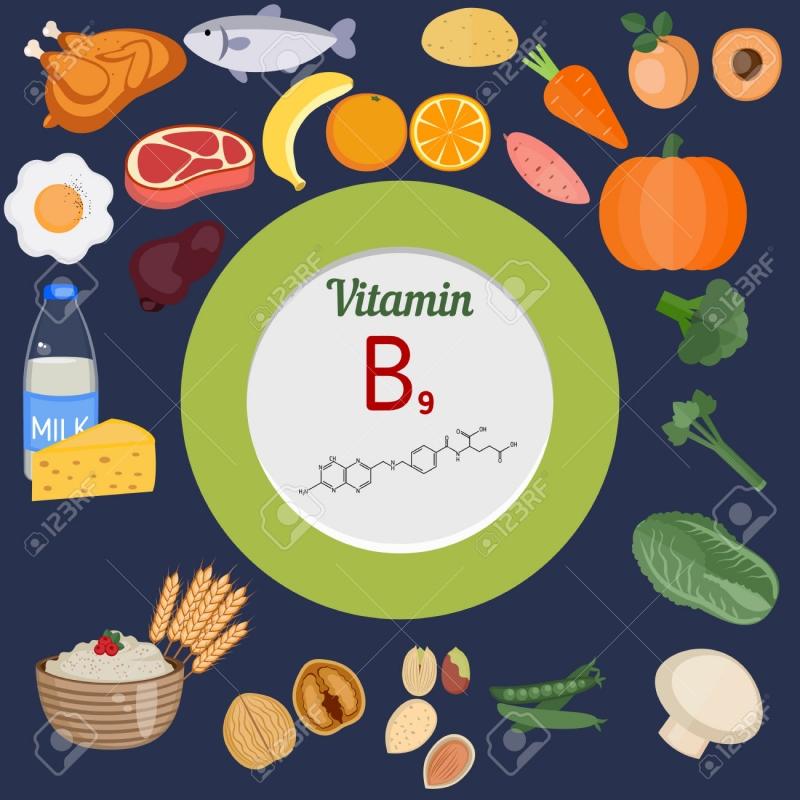 Nhóm thực phẩm có chứa Vitamin B9