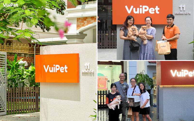 Khách hàng tin chọn shop bán chó VuiPet