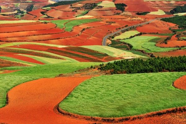 cánh đồng đỏ Dongchuan, nơi được xem là một Sao Hỏa trên Trái Đất. Nơi đây hứa hẹn mang đến cho bạn một hành trình khám phá vô cùng hấp dẫn.