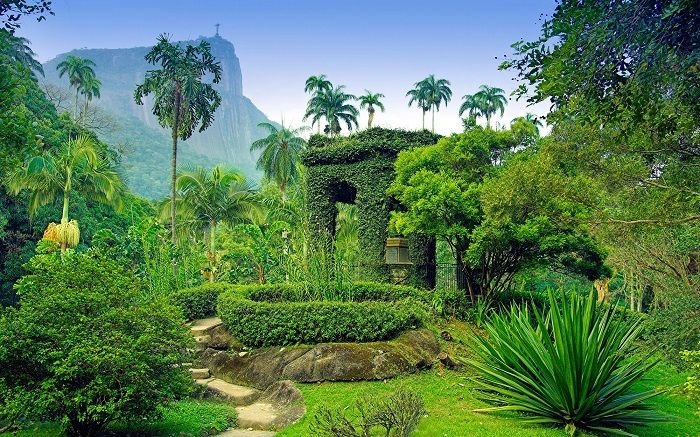 Vườn bách thảo Jardim Botnico, ở Rio de Janeiro, Brazil