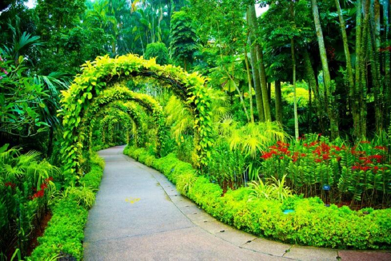 Vườn bách thảo Singapore ở Singapore
