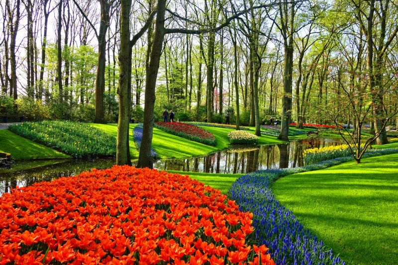 Vườn Keukenhof - Mùa xuân rực rỡ với những bông hoa tuy líp đủ màu sắc