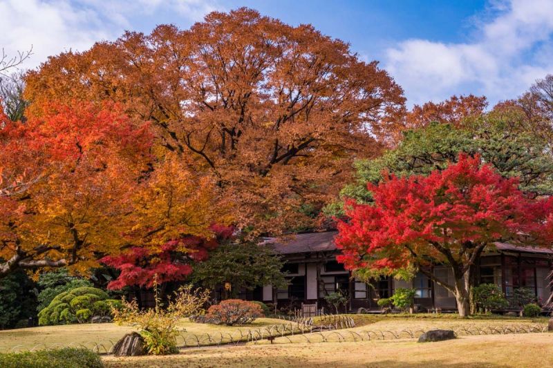 Vườn Koishikawa Korakuen, Nhật Bản