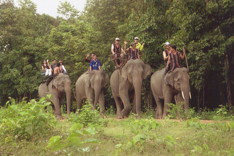 Vườn quốc gia Yok đôn – khu rừng đặc dụng lớn nhất Việt Nam
