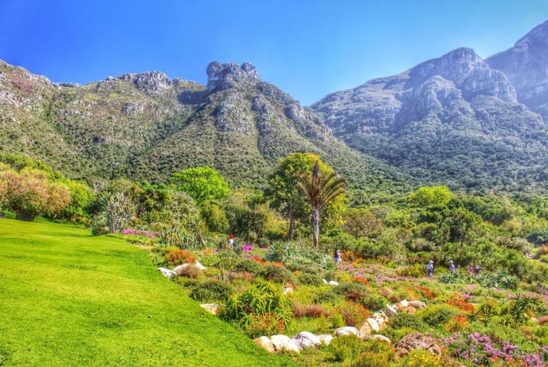 Vườn thực vật quốc gia Kirstenbosch, Nam Phi