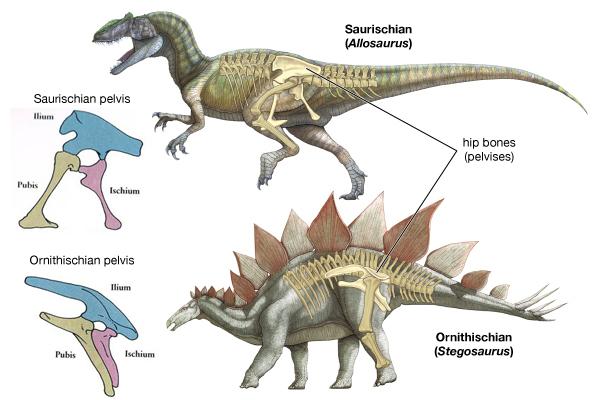 Vương quốc khủng long bao gồm hai nhánh chính