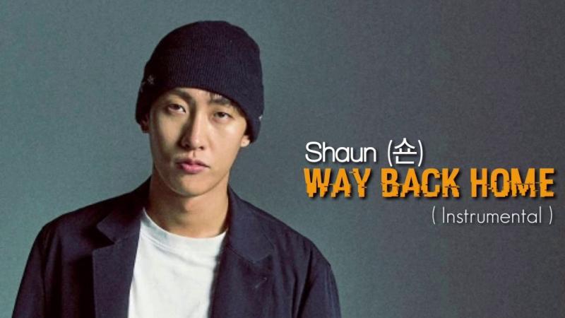 Way Back Home -  Shaun