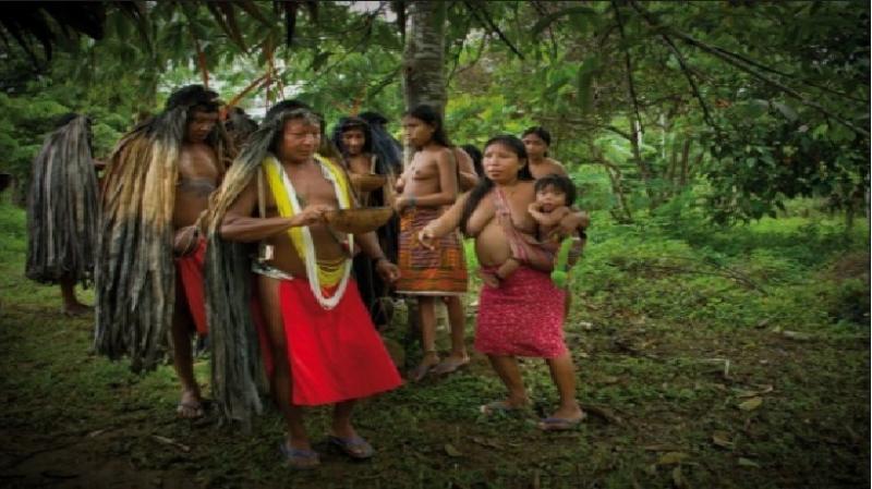 Hình ảnh bộ tộc Wayampi