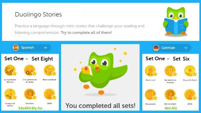 Website: Duolingo