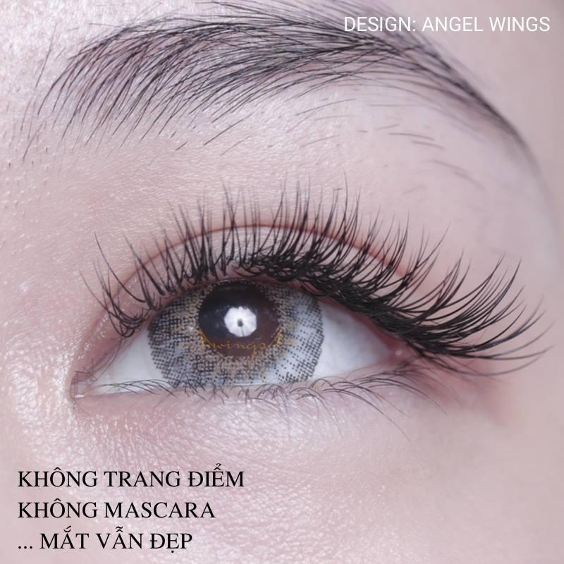 Wings Lashes