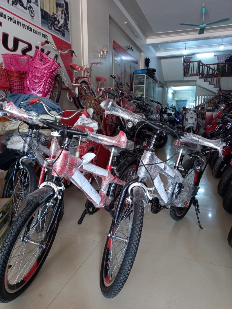 Xe đạp điện Thuận Mai