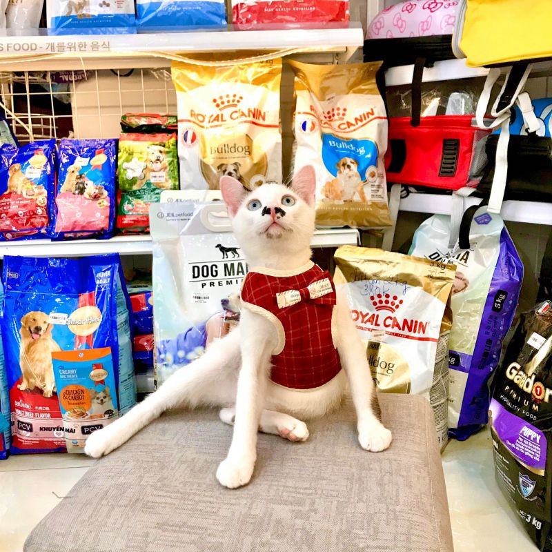 Xu Bông Pet Shop Đà Nẵng