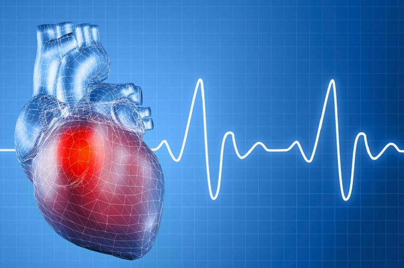 Khi sử dụng quá liều có thể làm nhịp tim chậm