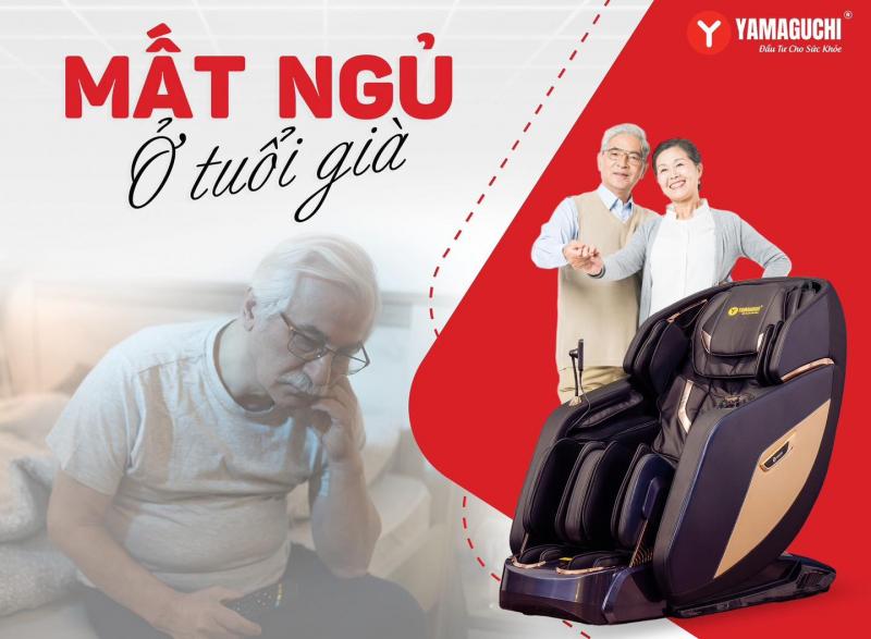 Yamaguchi Nam Định