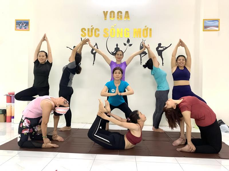 Yoga Sức Sống Mới