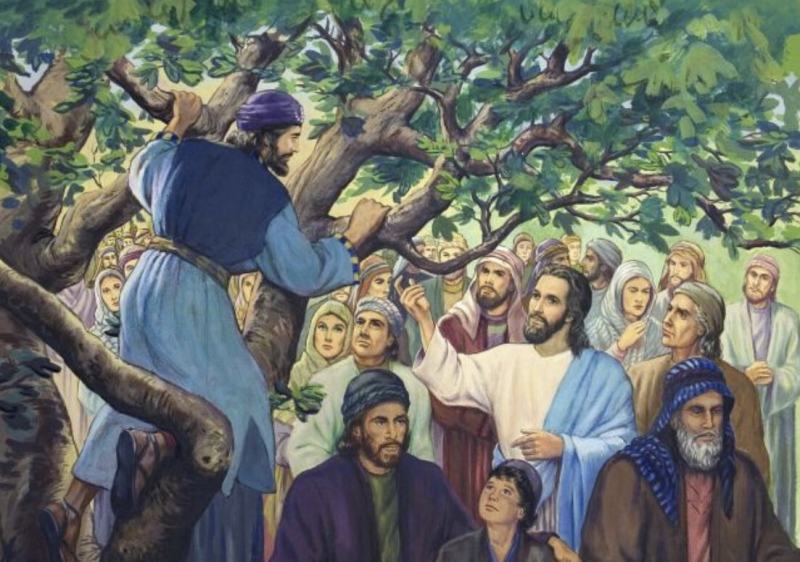 Zacchaeus leo lên cây sung để được nhìn thấy Chúa Jesus đi qua