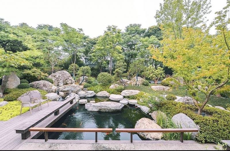 Zen Landscape - Cảnh quan sân vườn, Thiết kế Thi công hồ Koi chuyên nghiệp
